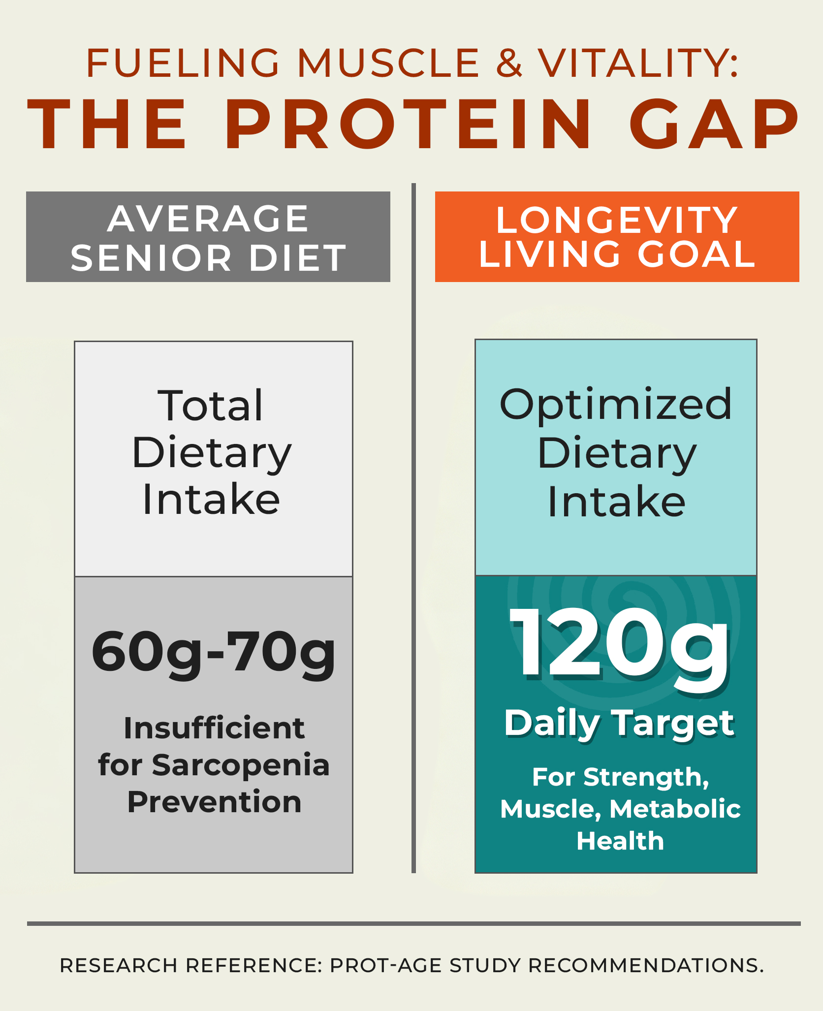 Fueling Muscle & Vitality: The Protein Gap Infographic